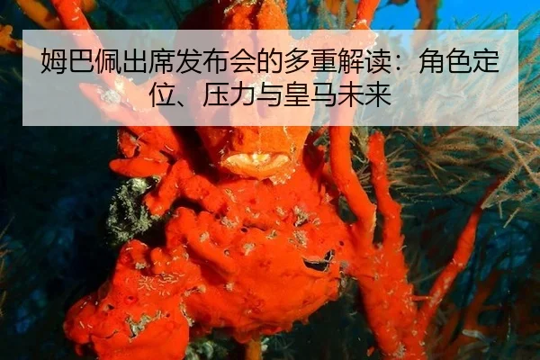 mu-ba-pei-chu-xi-fa-bu-hui-de-duo-zhong-jie-du-jue-se-ding-wei-ya-li-yu-huang-ma-wei-lai-2-970.jpg